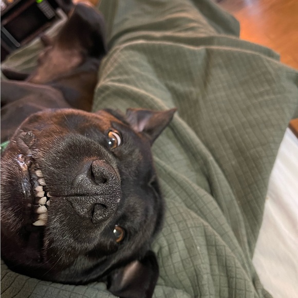 Meet your Posher, Alissa - Picture 8 of 16